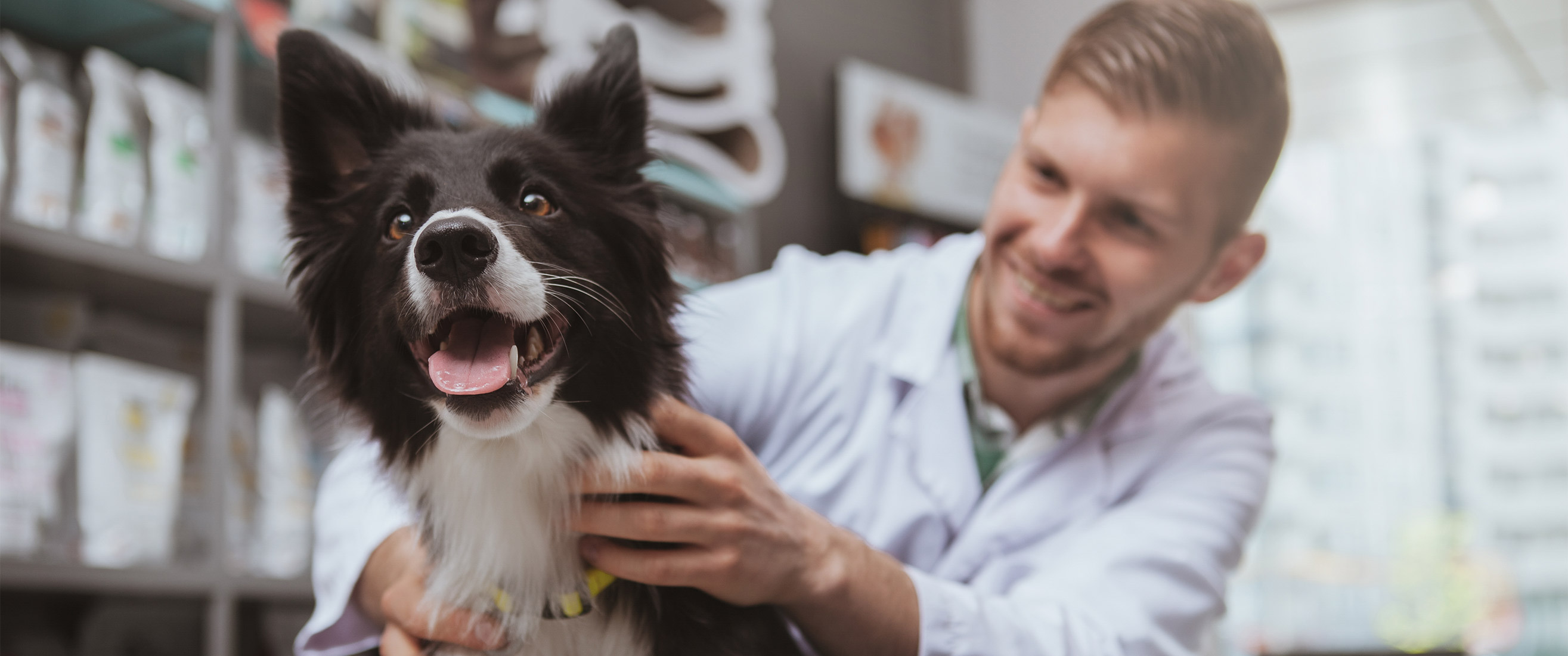 Happy puppy with Veterinarian