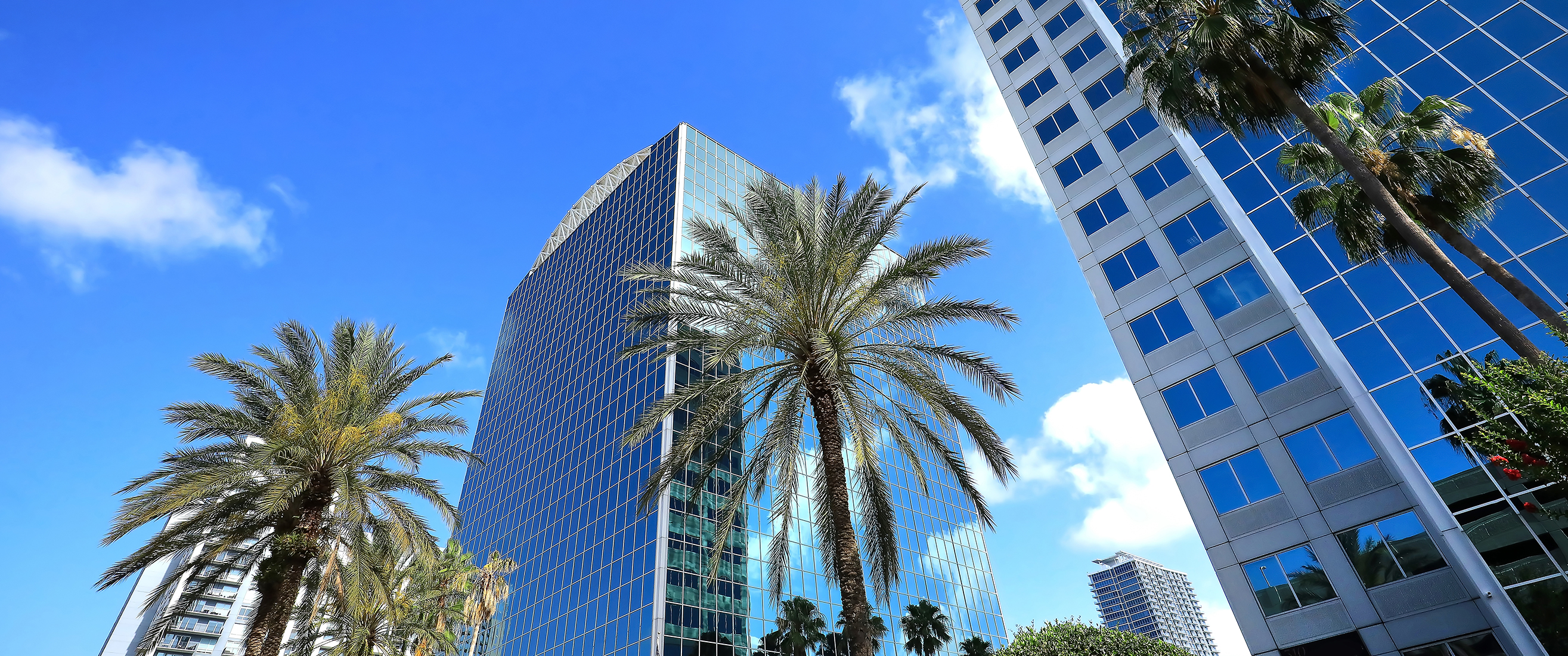 Looking up at the downtown Orlando skyline, steps away from Lake Eola.