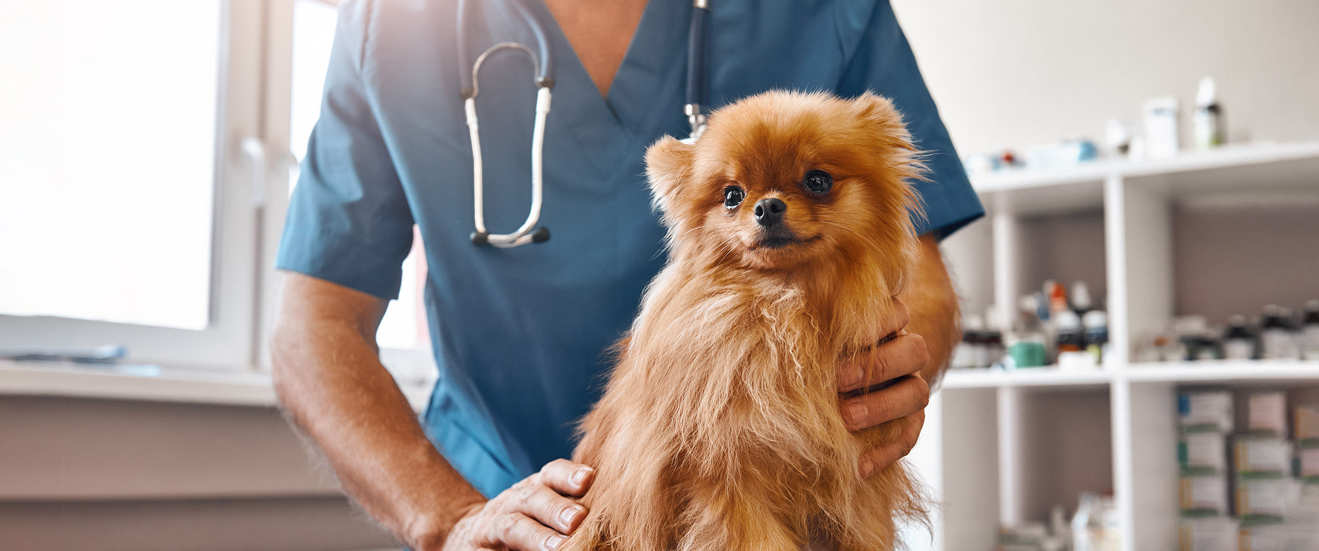 Music City Veterinary Conference