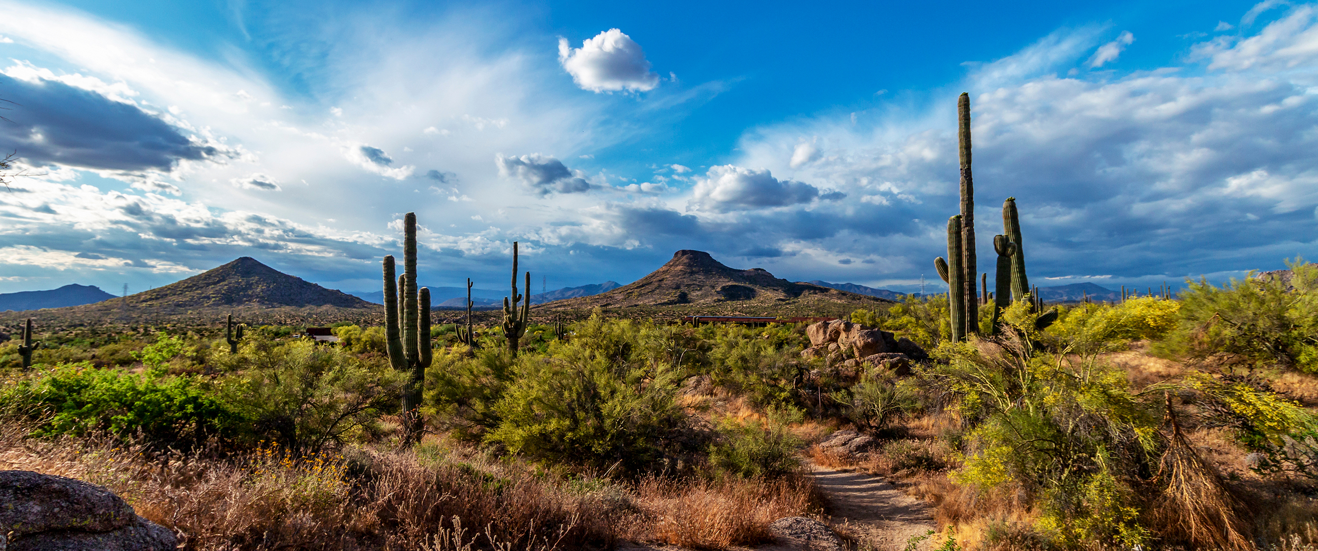 Arizona Assisted Living Homes Association (AALHA) 2023 Conference